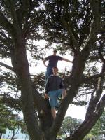 Climbing the Tree