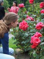 megan and rose