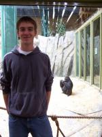Me and Gorilla