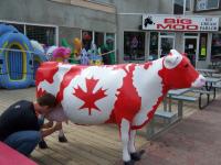 Kyle milking the cow